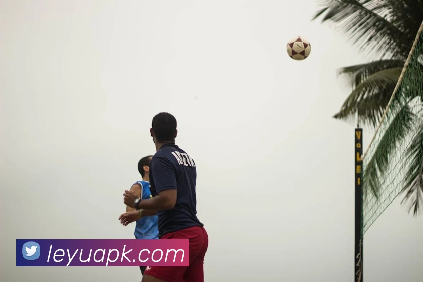 乐鱼体育平台生态图