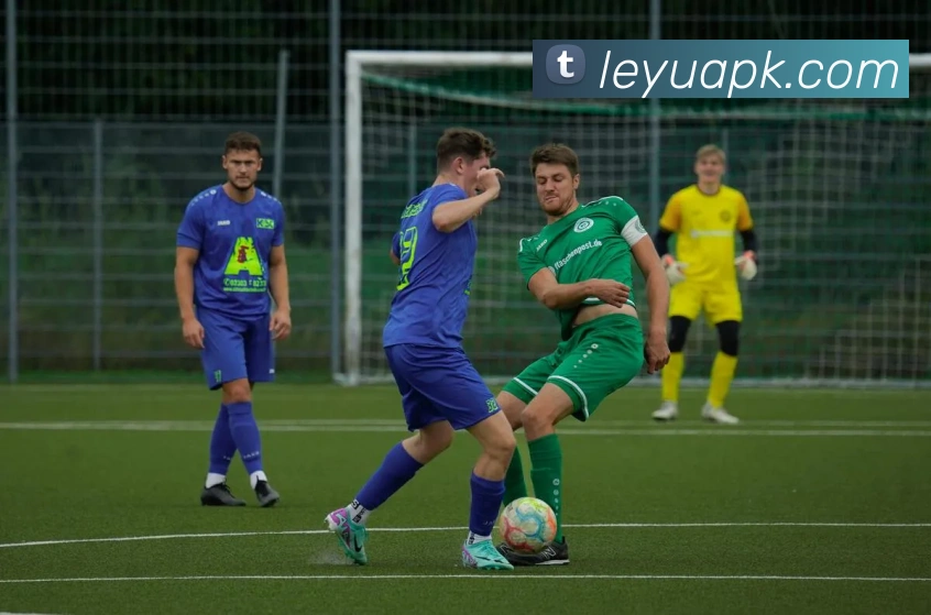 数据防护可视化